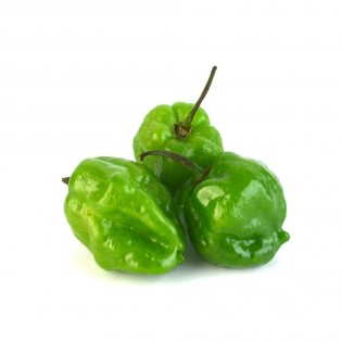 Green Habanero peppers