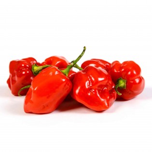 Red Habanero peppers