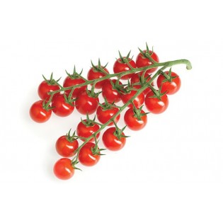 Tomates - cerise rouge