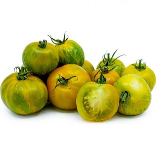 Tomates - zebra vert