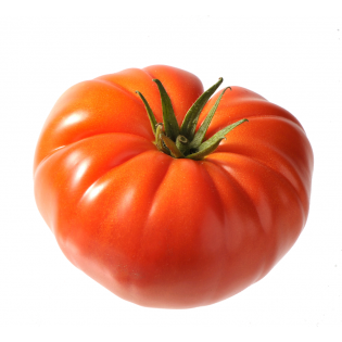 Tomatoes - marmande