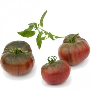 Tomate - noire de Crimée