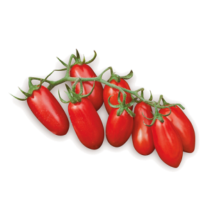 Tomates - san marzano