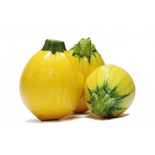 Courgettes - round yellows