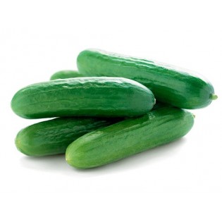 Cucumbers - mini baby