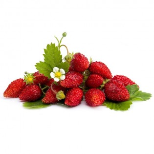 Strawberries from the woods