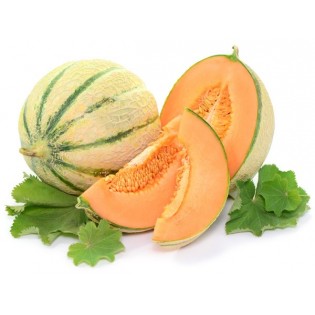 Cantaloupe Melons (Charentais)