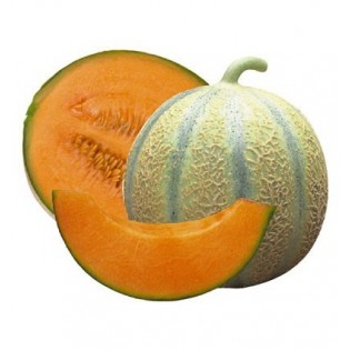 Melons philibon