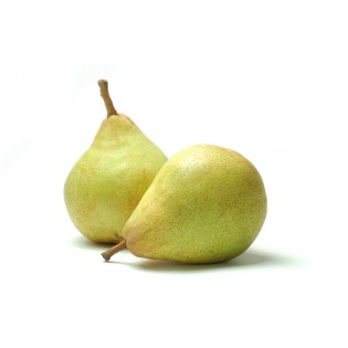 Pears the comice