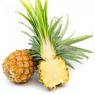 Pineapple mini