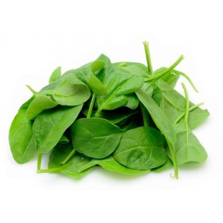 Lettuce - mini spinach (baby)