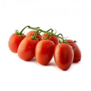 Tomate Pycadilly