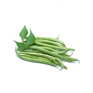 Extra fine green beans