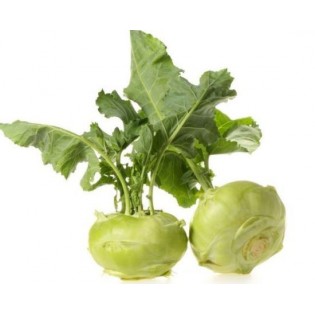 Kohlrabi cabbage