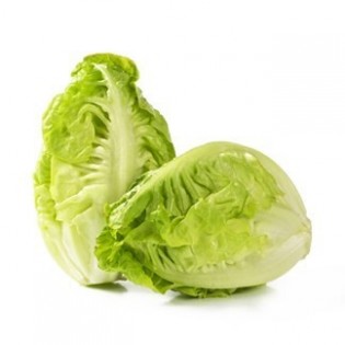 Baby gem lettuce