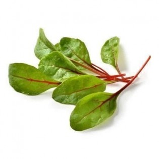 Red edies lettuce