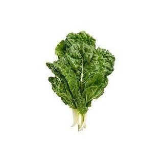Green chard lettuce